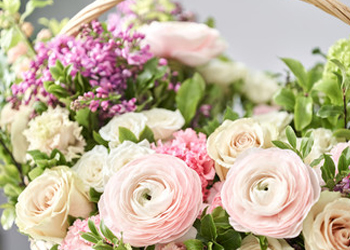 Delivery roses near hot sale me